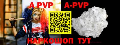 кокс Гатчина