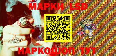 кокс Гатчина
