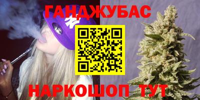 кокс Гатчина